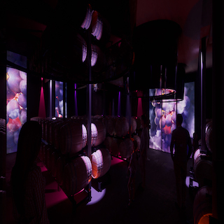 Show immersif Fleur de&nbsp;Boüard